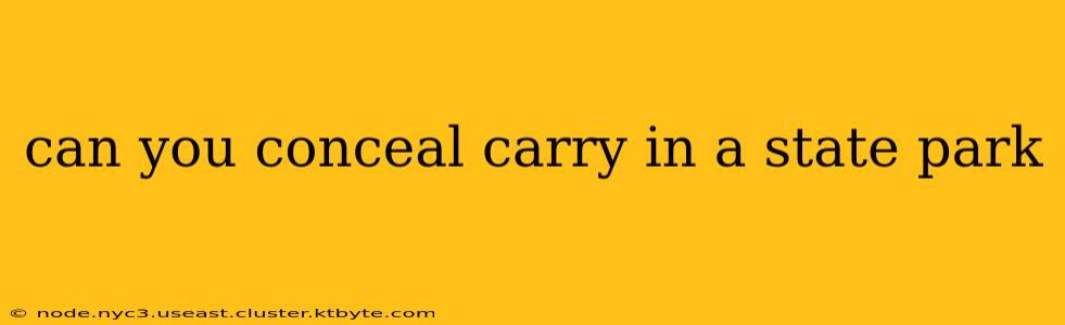 can you conceal carry in a state park