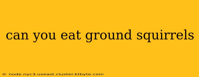 can you eat ground squirrels