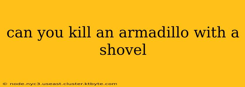 can you kill an armadillo with a shovel