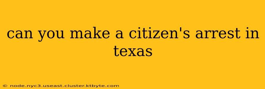 can you make a citizen's arrest in texas