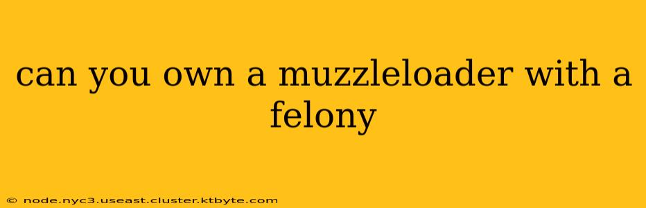 can you own a muzzleloader with a felony