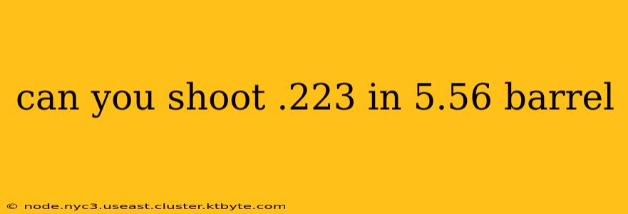 can you shoot .223 in 5.56 barrel