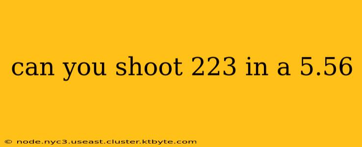 can you shoot 223 in a 5.56