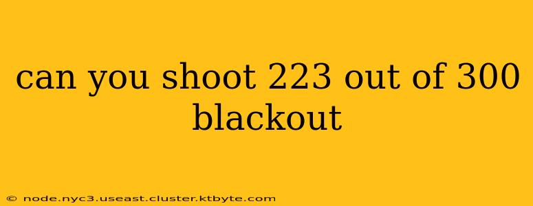 can you shoot 223 out of 300 blackout