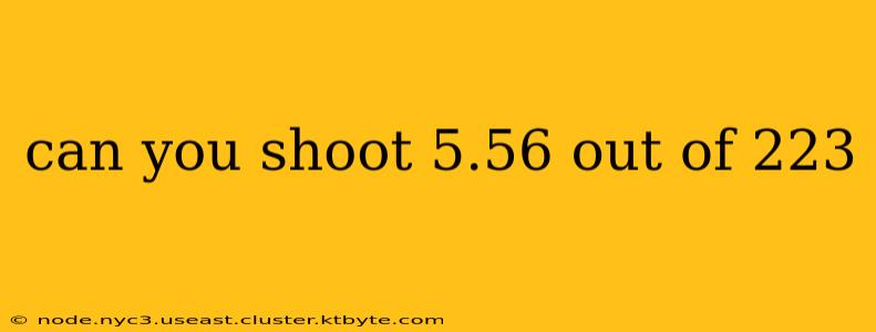 can you shoot 5.56 out of 223