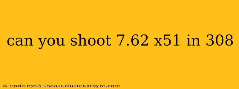 can you shoot 7.62 x51 in 308