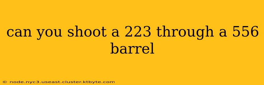 can you shoot a 223 through a 556 barrel