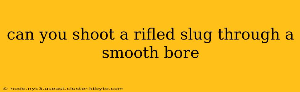 can you shoot a rifled slug through a smooth bore