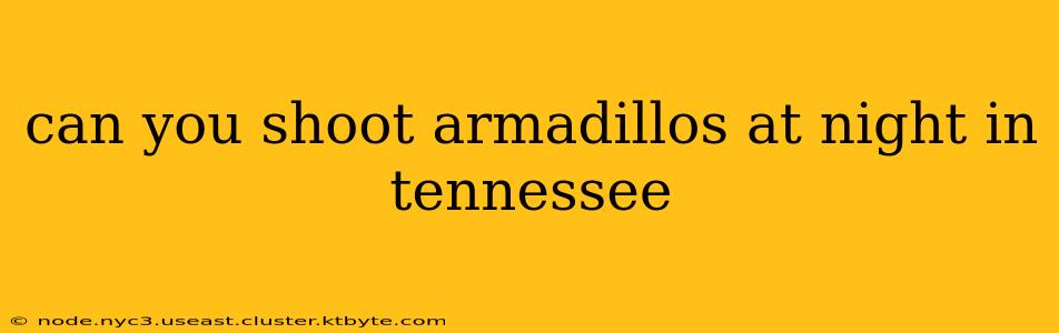 can you shoot armadillos at night in tennessee