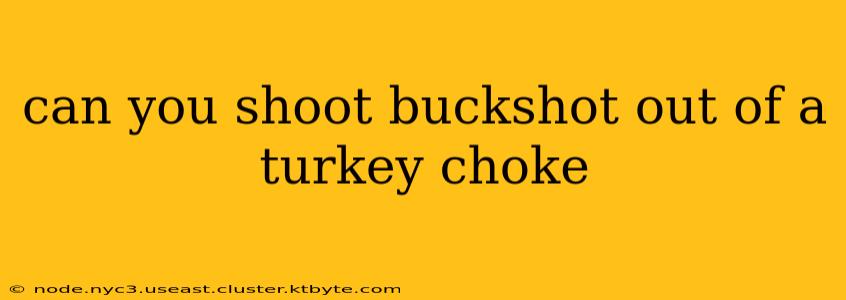 can you shoot buckshot out of a turkey choke