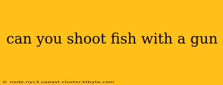 can you shoot fish with a gun