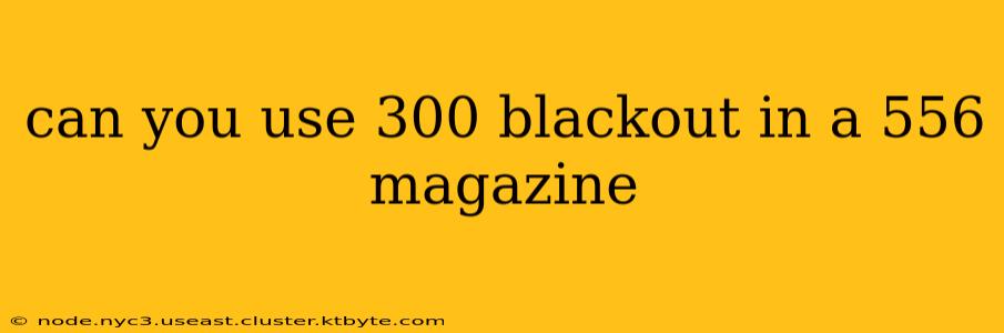 can you use 300 blackout in a 556 magazine