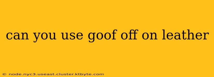 can you use goof off on leather