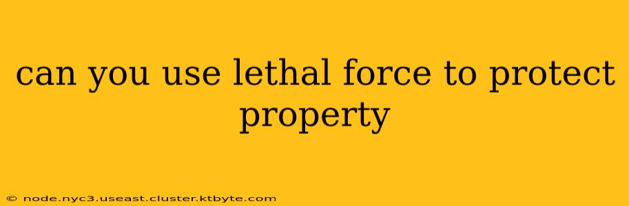 can you use lethal force to protect property