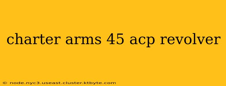 charter arms 45 acp revolver