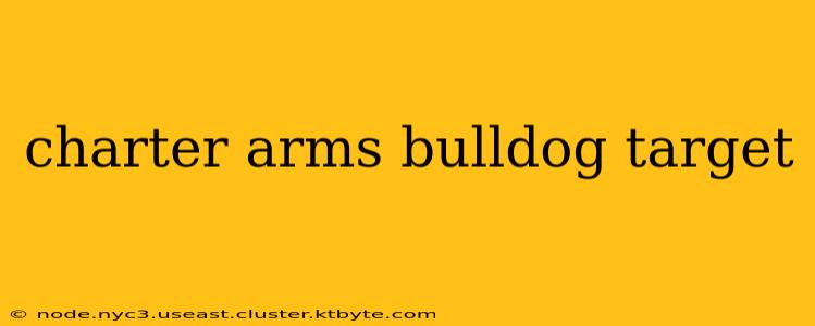 charter arms bulldog target