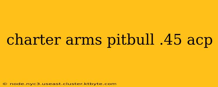 charter arms pitbull .45 acp