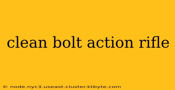 clean bolt action rifle