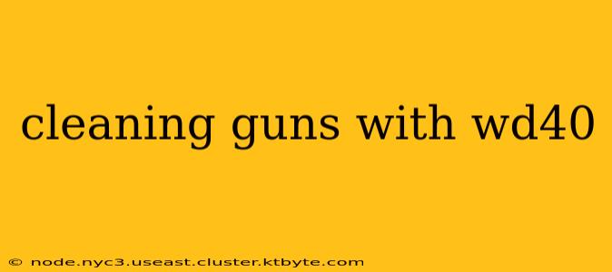 cleaning guns with wd40