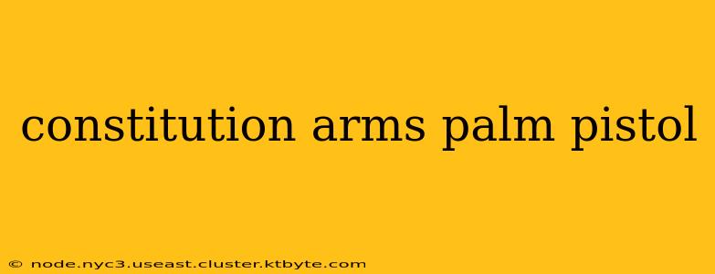 constitution arms palm pistol