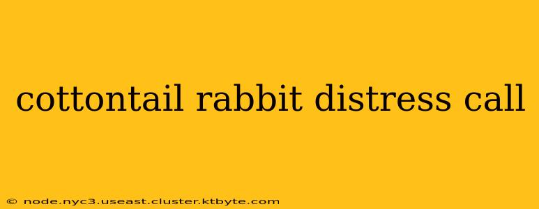 cottontail rabbit distress call