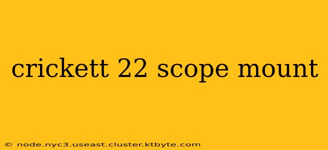 crickett 22 scope mount