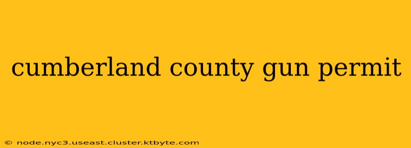 cumberland county gun permit