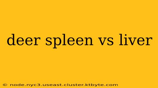 deer spleen vs liver