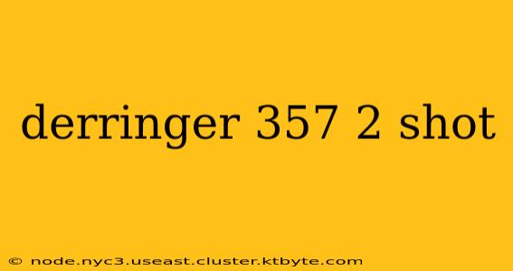 derringer 357 2 shot