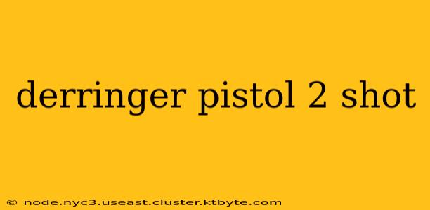 derringer pistol 2 shot