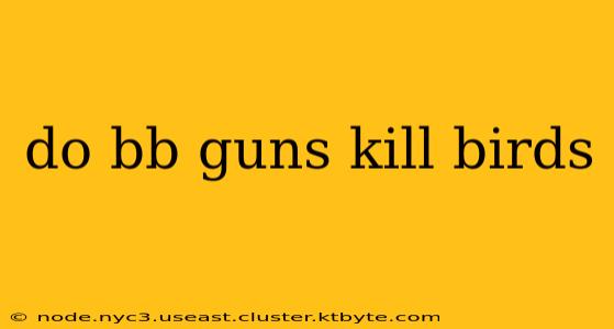 do bb guns kill birds