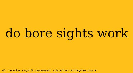 do bore sights work