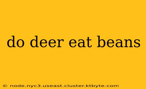 do deer eat beans