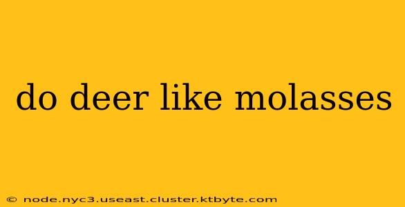 do deer like molasses