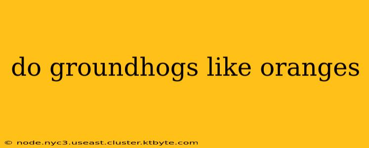 do groundhogs like oranges