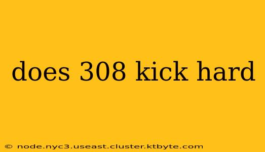 does 308 kick hard