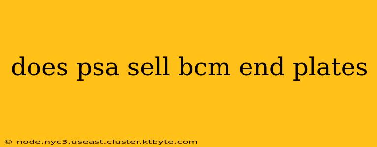 does psa sell bcm end plates