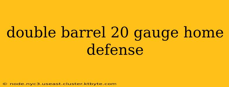 double barrel 20 gauge home defense