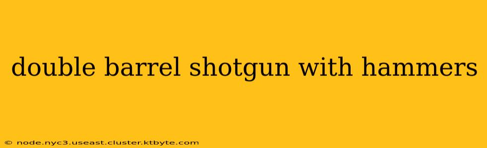 double barrel shotgun with hammers