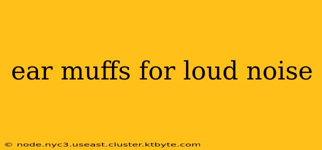 ear muffs for loud noise