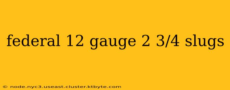 federal 12 gauge 2 3/4 slugs