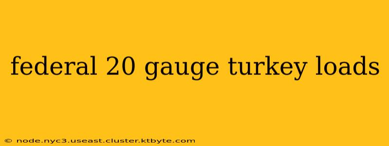 federal 20 gauge turkey loads