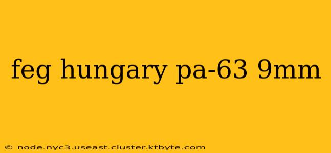 feg hungary pa-63 9mm