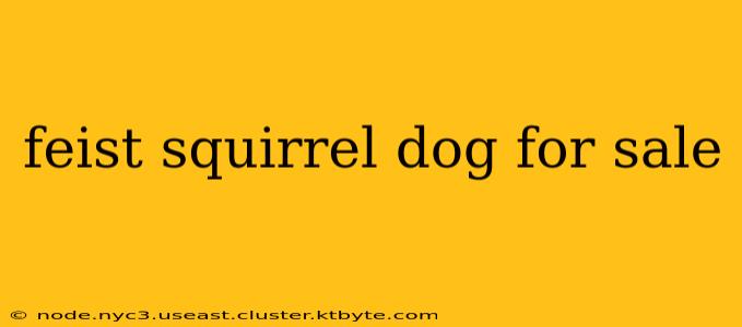 feist squirrel dog for sale