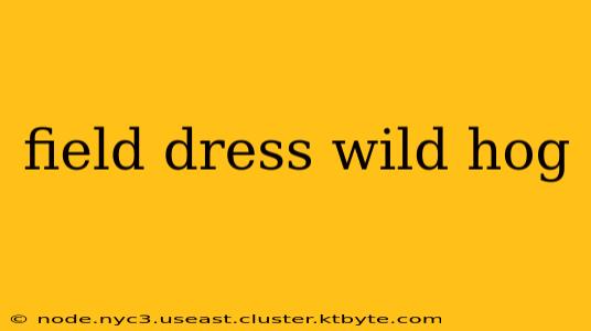 field dress wild hog