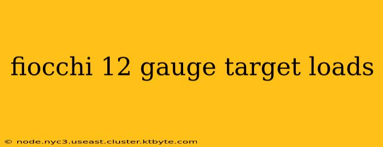 fiocchi 12 gauge target loads