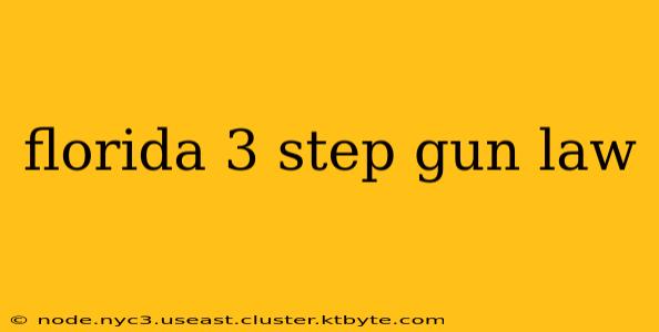 florida 3 step gun law