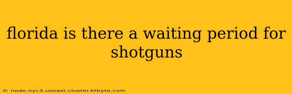 florida is there a waiting period for shotguns