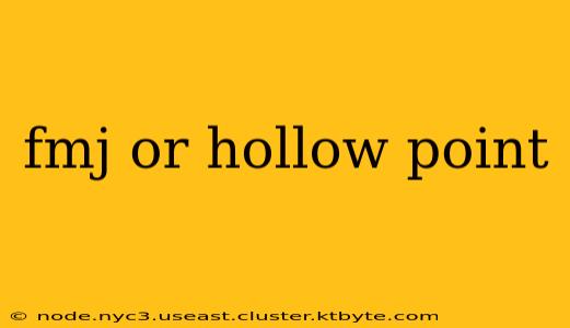 fmj or hollow point