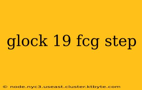 glock 19 fcg step